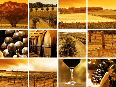 Wein aus Spanien Wein aus Spanien